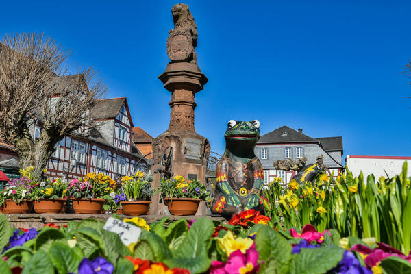 Titelbild G&auml;rtnermarkt