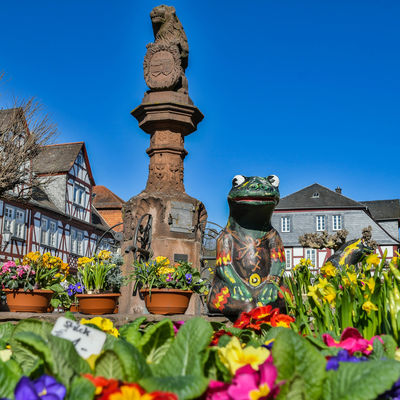 Titelbild G&auml;rtnermarkt