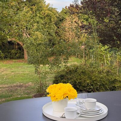 Das Pahl-Haus Blick in den Garten