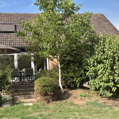 Das Pahl-Haus Blick aufs Haus vom Garten