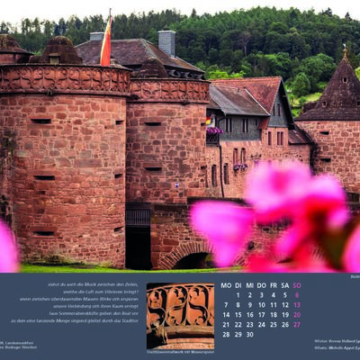 B&uuml;dinger Kalender 2027 - Juni